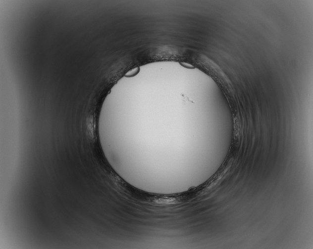 X0000093490669200710121014
