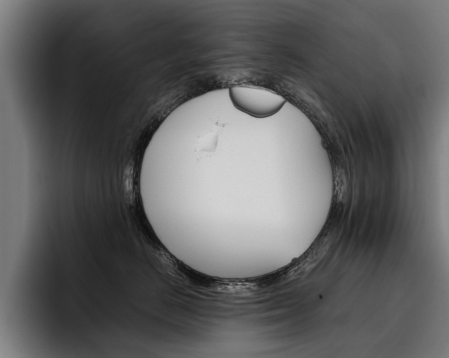 X0000093490670200710121014