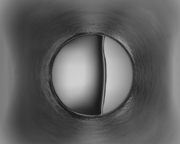 X0000093490673200710121013