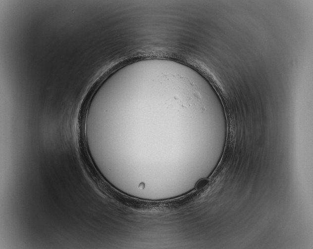 X0000093490674200710121013