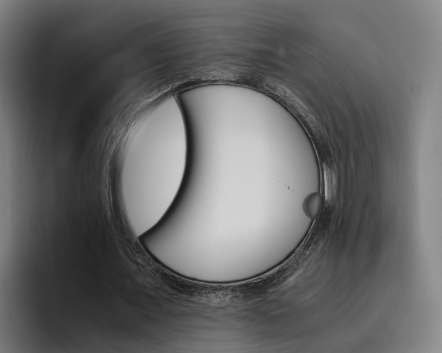 X0000093490675200710121013