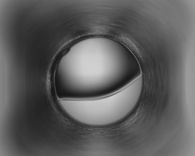 X0000093490676200710121013