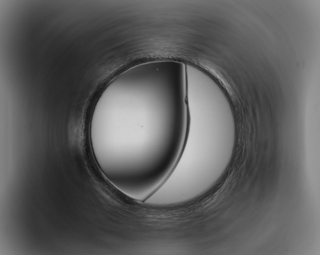 X0000093490677200710121013