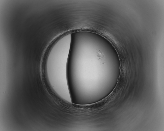 X0000093490680200710121013