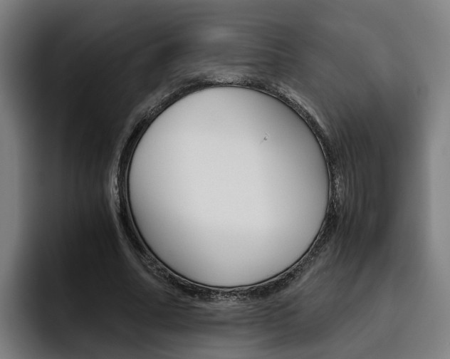 X0000093490682200710121013