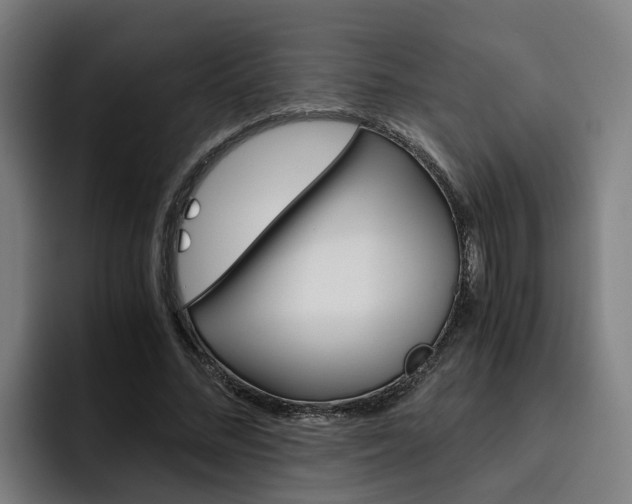 X0000093490684200710121013