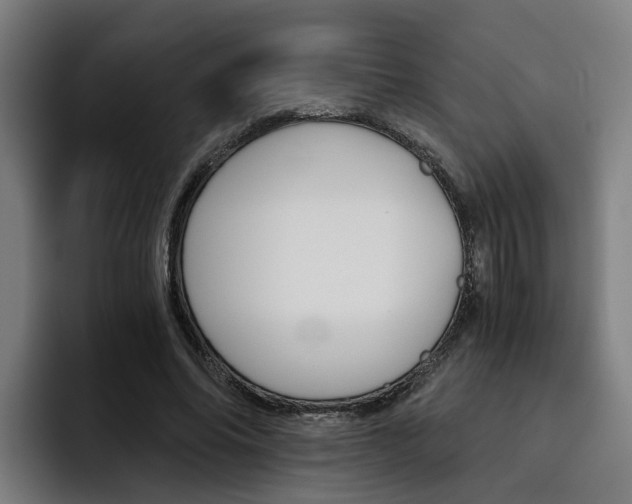 X0000093490686200710121013
