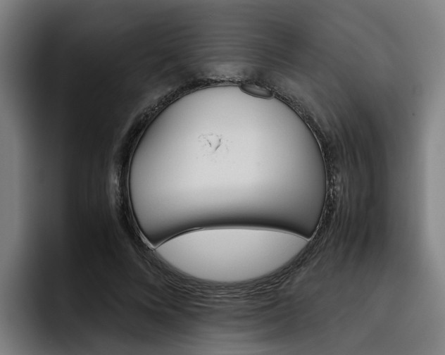 X0000093490688200710121013