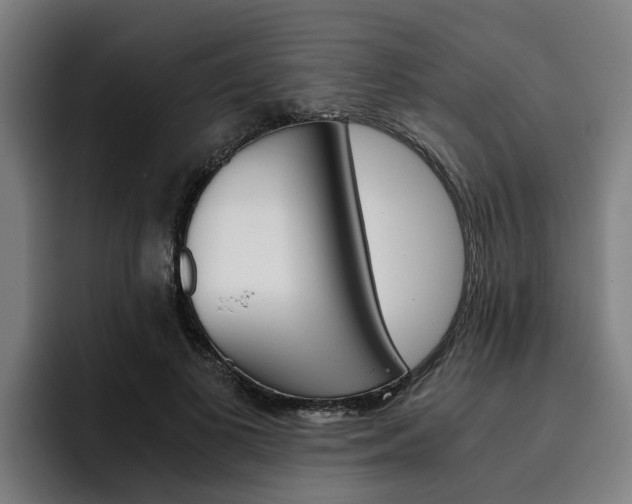 X0000093490693200710121013