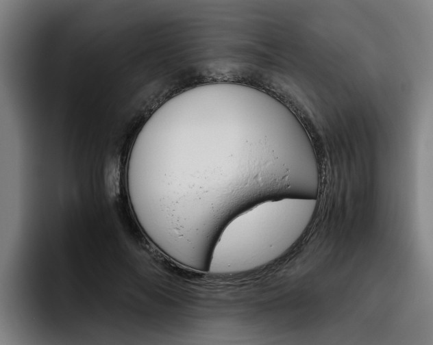 X0000093490694200710121013