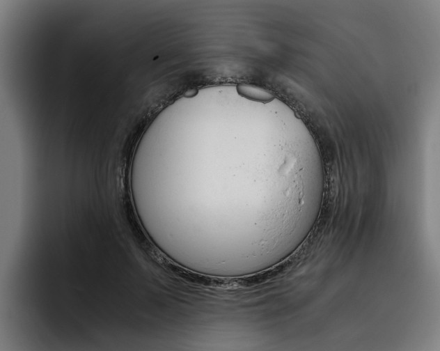 X0000093490695200710121013