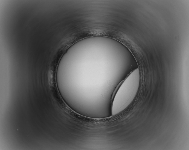 X0000093490696200710121013