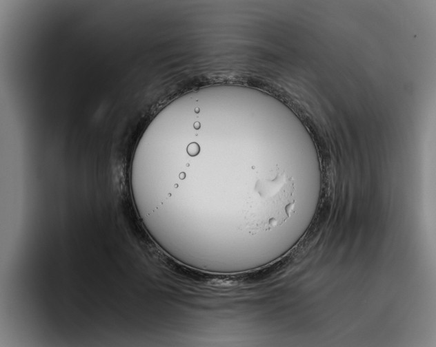 X0000093490699200710121013