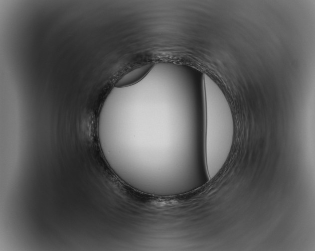 X0000093490712200710121013