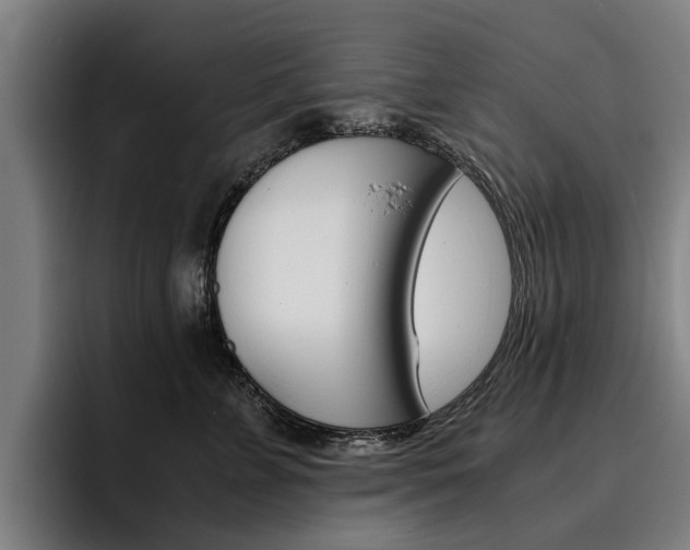 X0000093490715200710121013