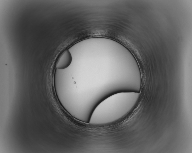 X0000093490721200710121012