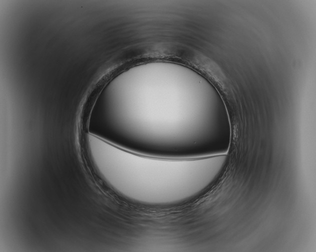 X0000093490724200710121012
