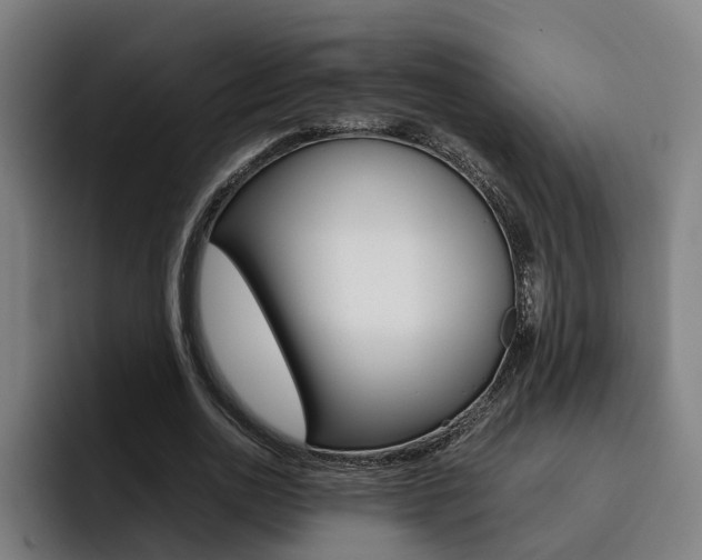 X0000093490726200710121012