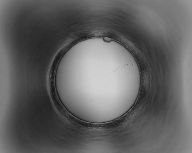 X0000093490730200710121012