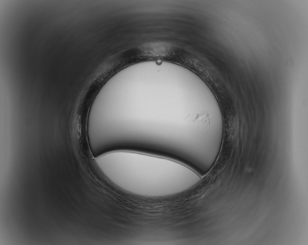 X0000093490731200710121012
