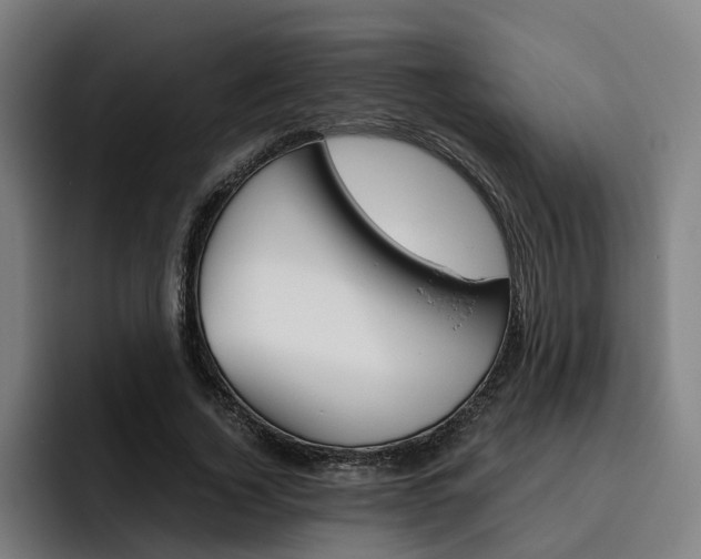 X0000093490732200710121012