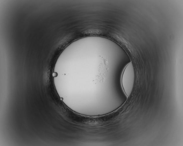 X0000093490735200710121012