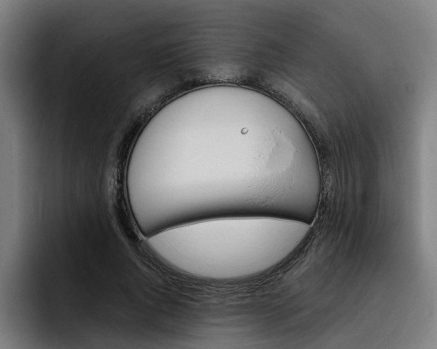 X0000093490736200710121012
