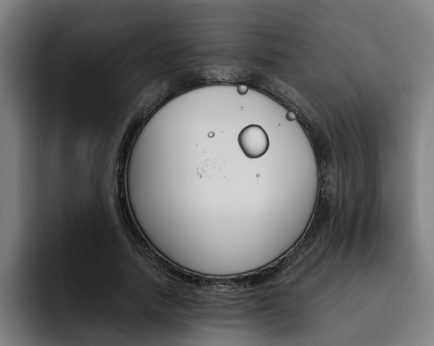 X0000093490738200710121012