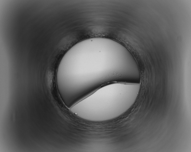 X0000093490742200710121012