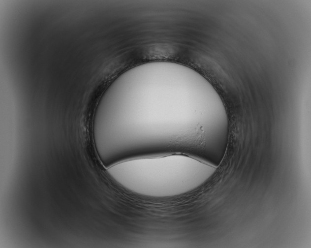 X0000093490743200710121012
