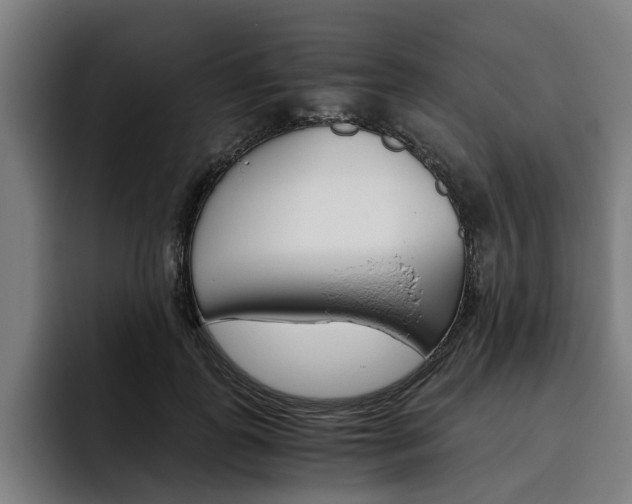 X0000093490747200710121012