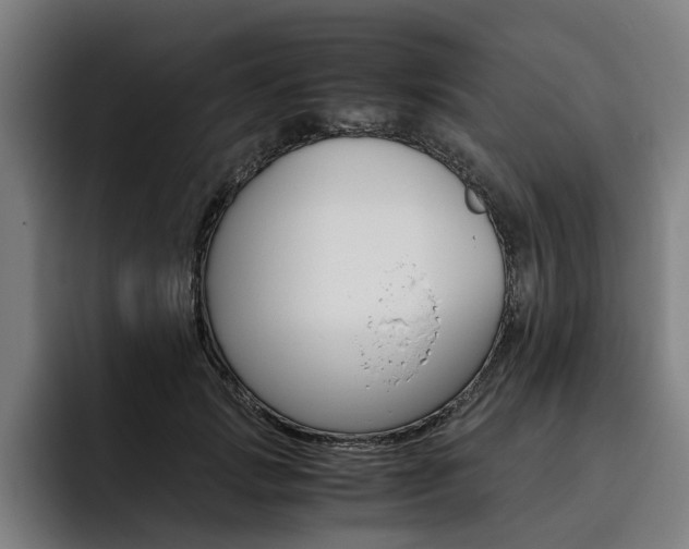 X0000093490749200710121012