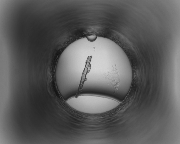 X0000093490751200710121012