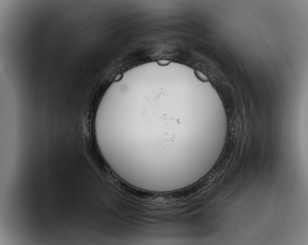X0000093490755200710121012
