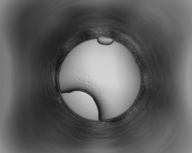 X0000093490757200710121013