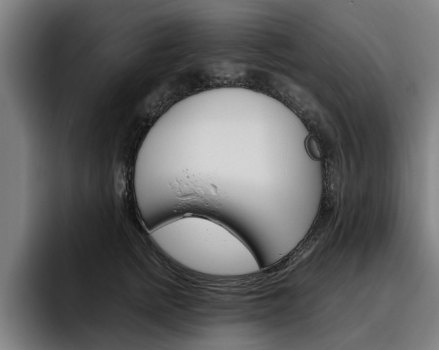X0000093490758200710121013