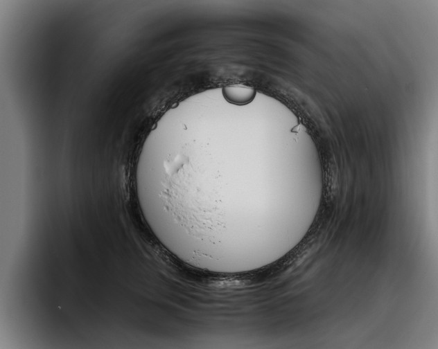 X0000093490759200710121013