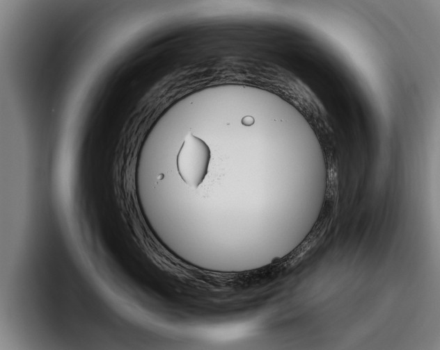 X0000093490765200710121013