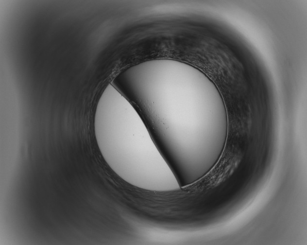 X0000093490766200710121013