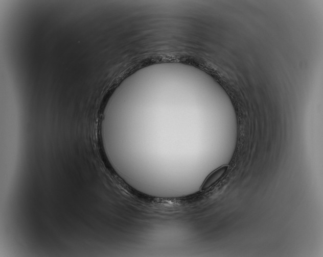 X0000093490768200710121013