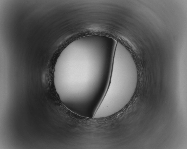 X0000093490776200710121012