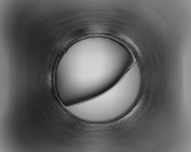 X0000093490777200710121012