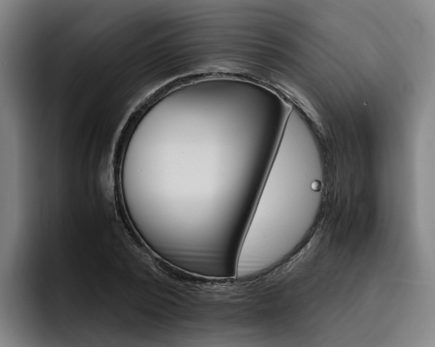 X0000093490784200710121012