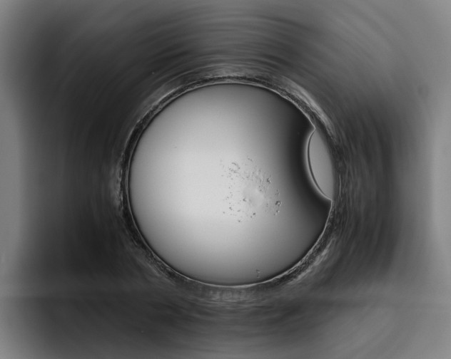X0000093490786200710121012