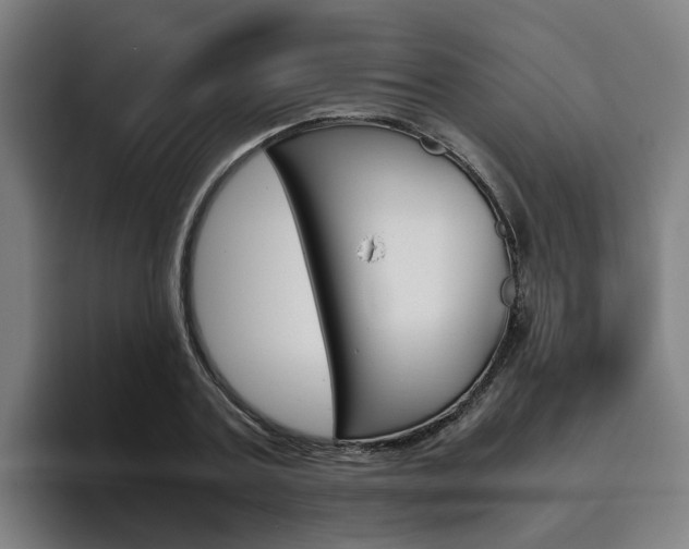X0000093490787200710121012