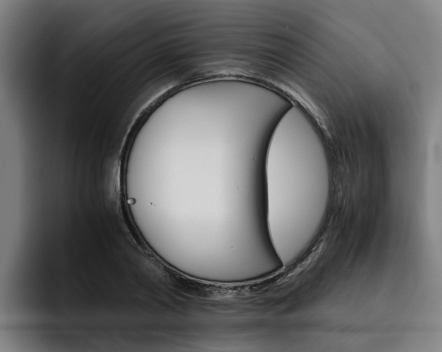 X0000093490790200710121012