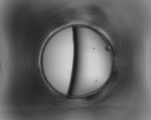 X0000093490791200710121012
