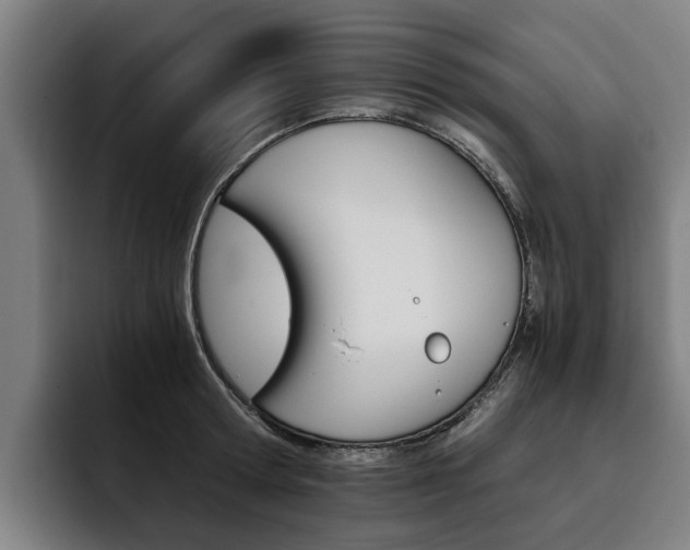 X0000093490802200710121012