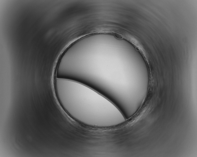 X0000093490803200710121012