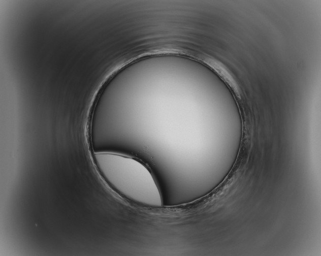 X0000093490805200710121012